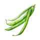 Haricots verts