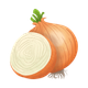 Oignons
