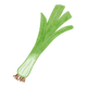 Poireaux