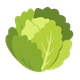 Salade