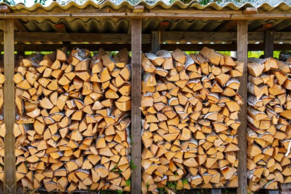 Stocker ses bûches de 50 cm : les erreurs qui coûtent cher
