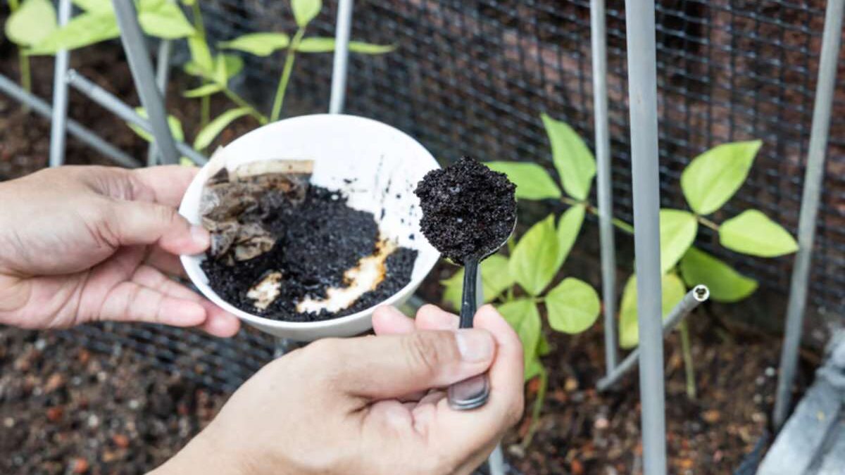 Comment faire un activateur de compost fait maison ?