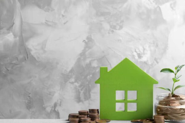 Comment rénover ta maison de façon écologique ?